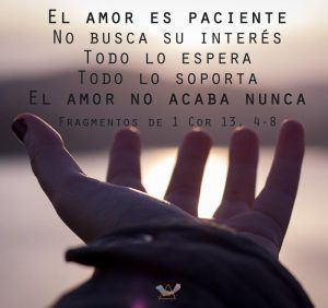 El amor es casto